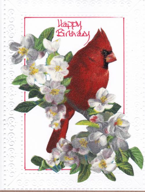 cardinal-birthday-card