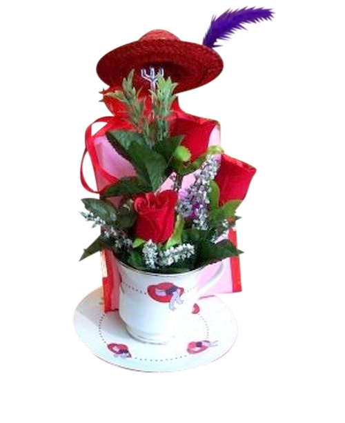 Red Hat Gift Package