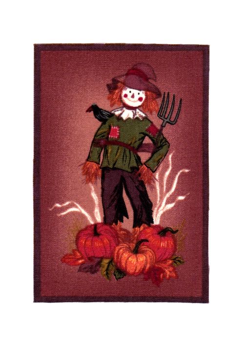 Framed Thanksgiving ScareCrow