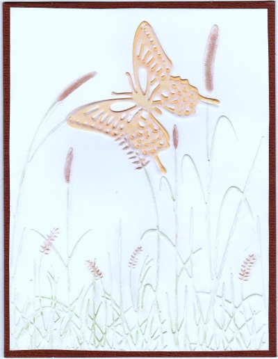 Butterfly/field